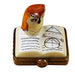 Mini Owl on Book Limoges Box - Limoges Box Boutique