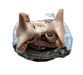 Pigs Kissing in Heart Tub in Love Limoges Trinket Box - Limoges Box Boutique