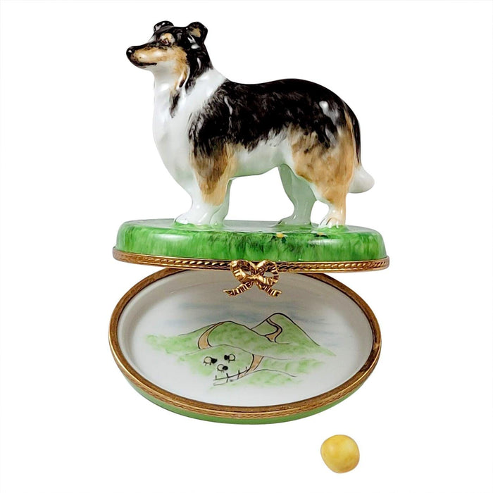 Sheltie with Removable Ball Limoges Box - Limoges Box Boutique