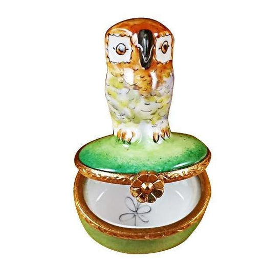 Small Owl on Green Box Limoges Box - Limoges Box Boutique