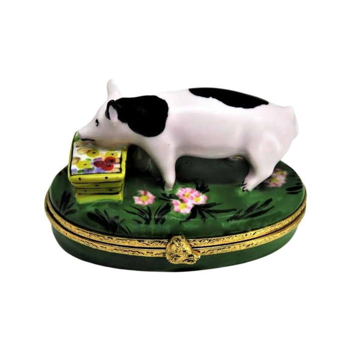 Spotted Pig Limoges Box Figurine - Limoges Box Boutique