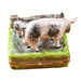 Two Spotted Pigs by Fence Limoges Box - Limoges Box Boutique